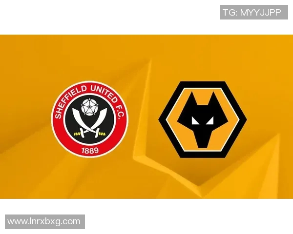 狼队与谢菲联足球比赛直播精彩瞬间回顾与分析