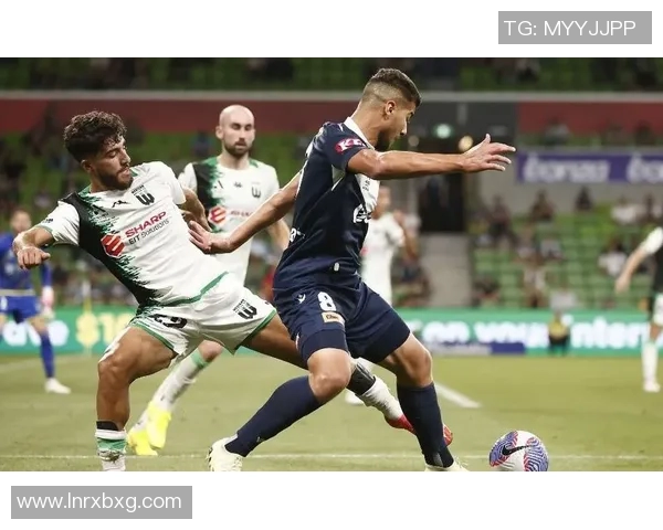 墨尔本联与波斯野猫激战在即球迷期待精彩对决与精彩表现 墨尔本联与波斯野猫激战在即球迷期待精彩对决与精彩表现